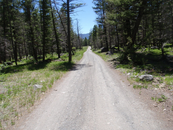 GDMBR: NF-83, Super Highway.